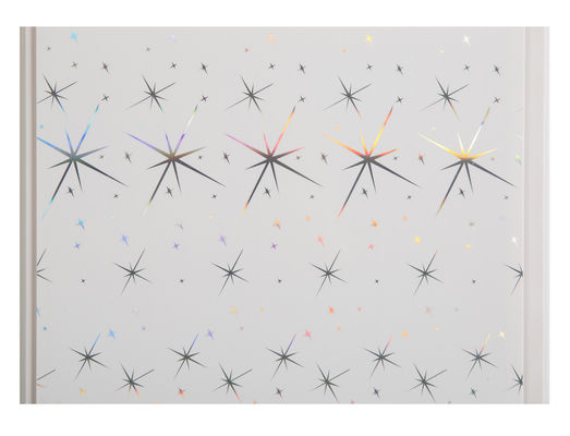 Banyolar 25cm 30cm Genişliği İçin Ekonomik Dekoratif Su Geçirmez Cephe Panelleri